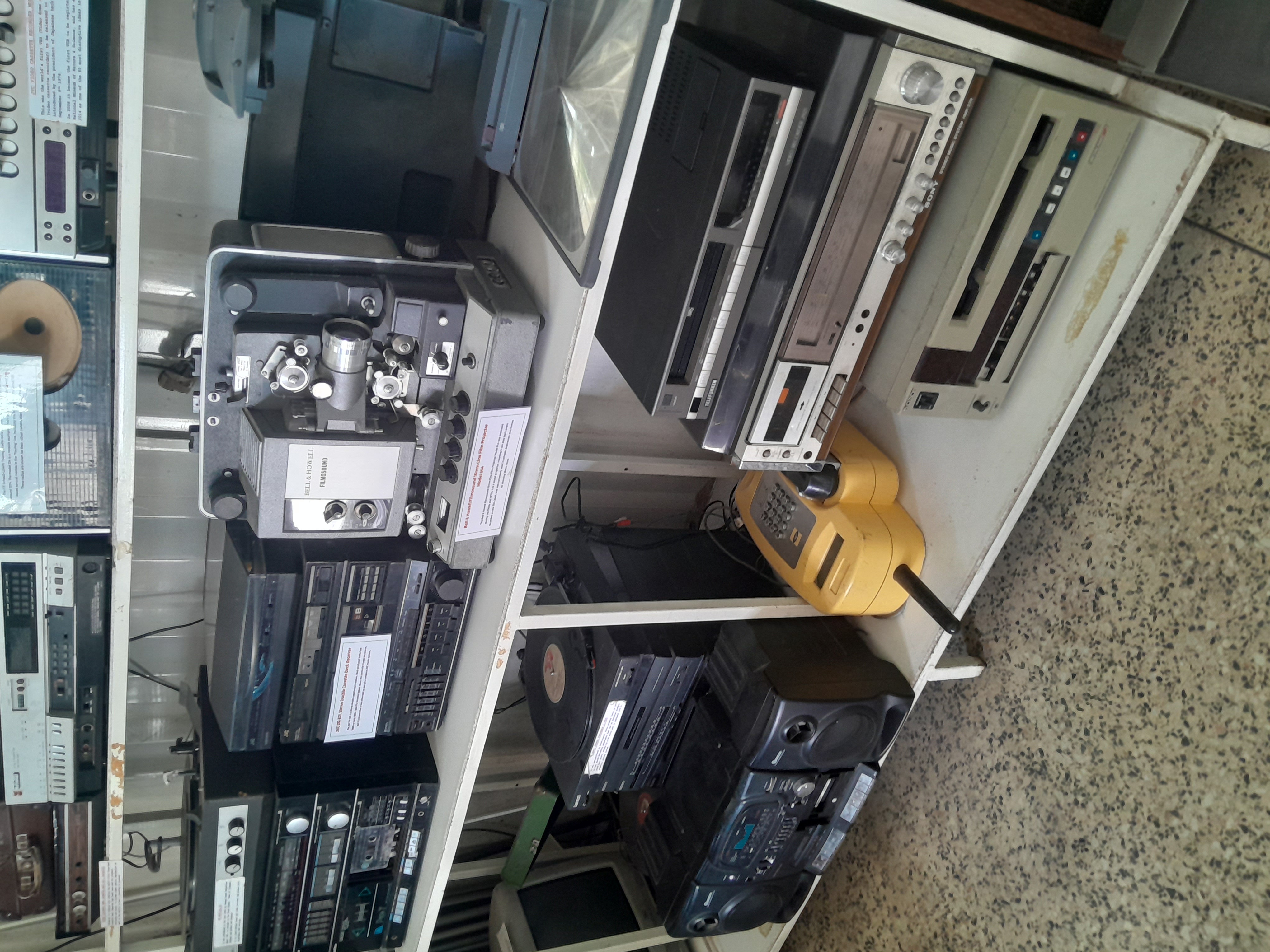 Lifestyle Insights Blog