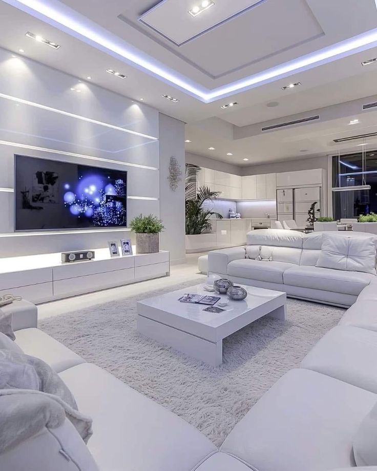 Luxury Home Renovation